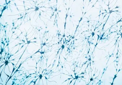 An artistic rendering of blue neurons against a white background